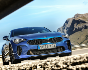 Kia Stinger blue dynamic  (28)